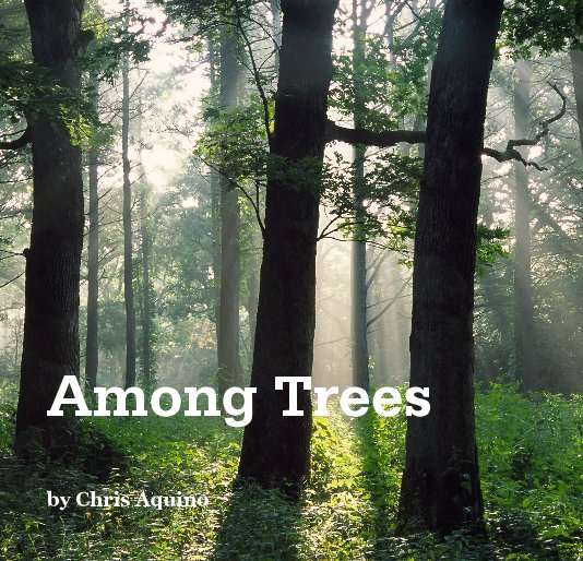 View Among Trees by Chris Aquino