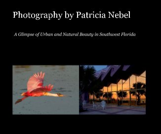 Photography by Patricia Nebel book cover
