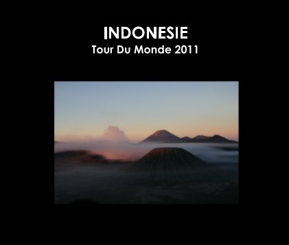 INDONESIE Tour Du Monde 2011 book cover