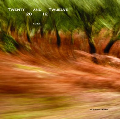 Twenty and Twuelve 20 12 SERIES book cover