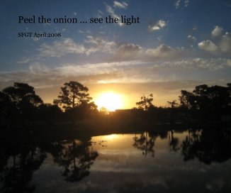 Peel the onion ... see the light book cover