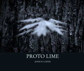 PROTO LIME book cover