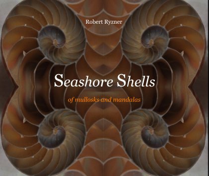 Seashore Shells book cover