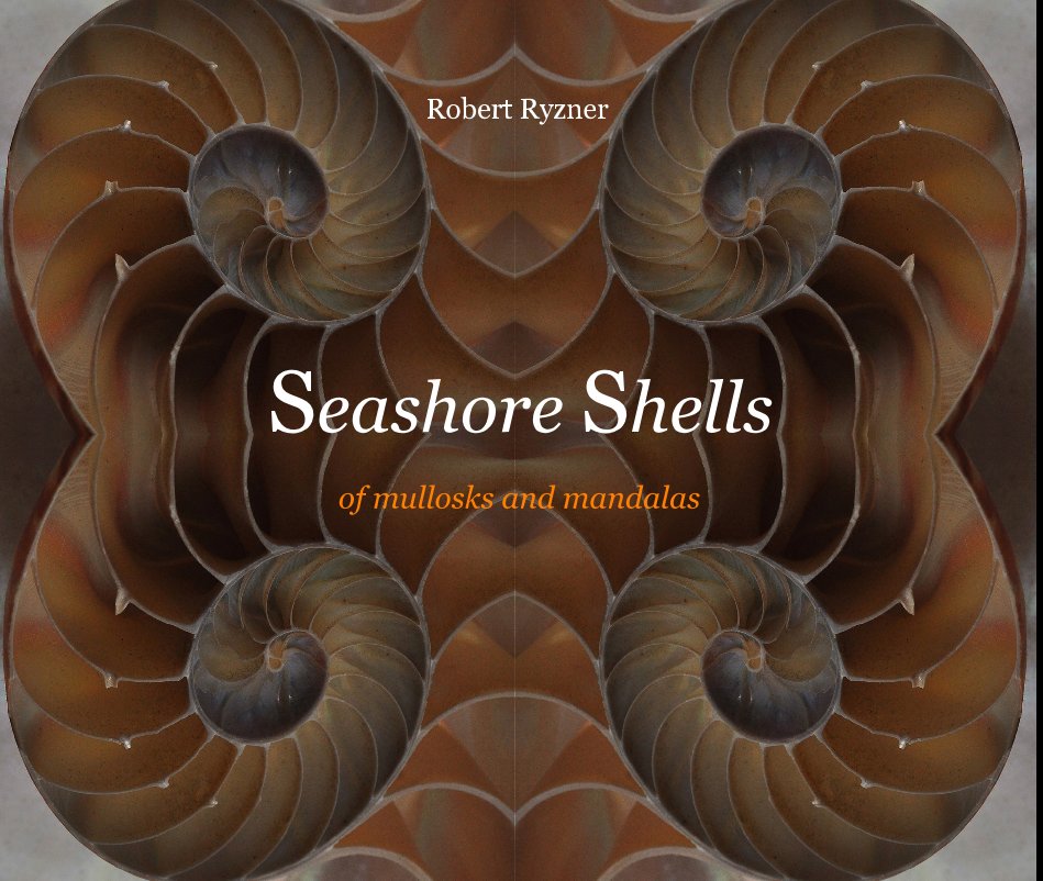 View Seashore Shells by Robert Ryzner