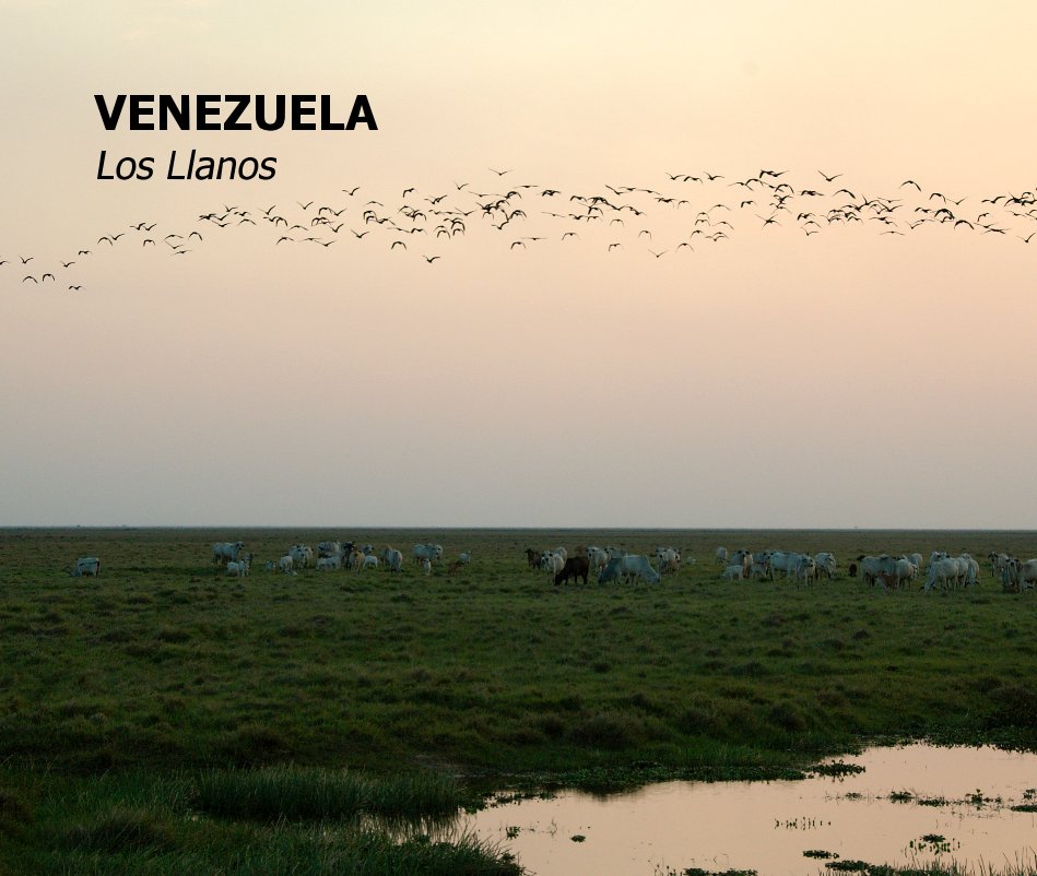 View VENEZUELA Los Llanos by Peter M Richter