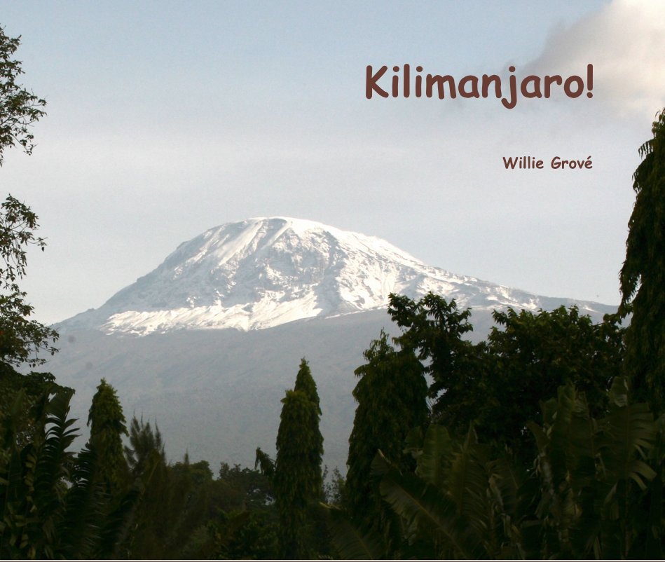 View Kilimanjaro! by Willie Grové