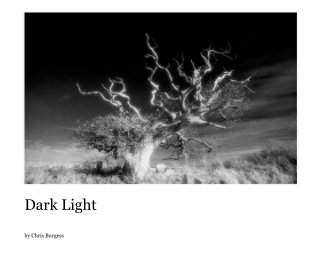 Dark Light book cover