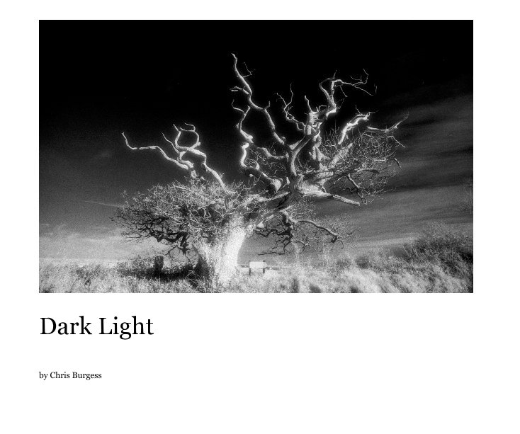 View Dark Light by Chris Burgess