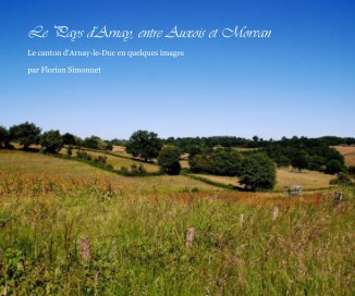 Le Pays d'Arnay, entre Auxois et Morvan book cover