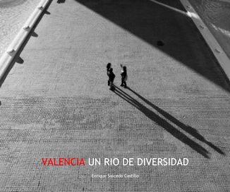 VALENCIA UN RIO DE DIVERSIDAD book cover