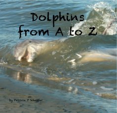 Dolphins from A to Z