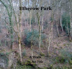 Etherow Park book cover