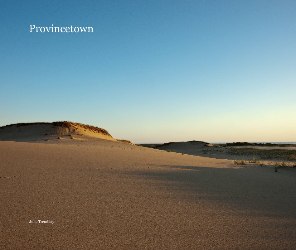View Provincetown by Julie Tremblay