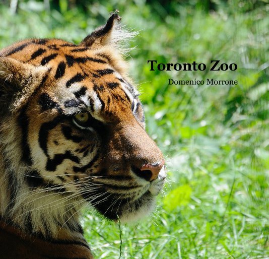 View Toronto Zoo by Domenico Morrone