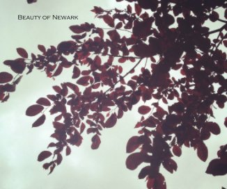 Beauty of Newark book cover
