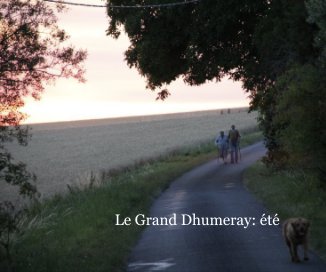 Le Grand Dhumeray: été book cover