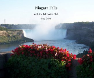 Niagara Falls book cover