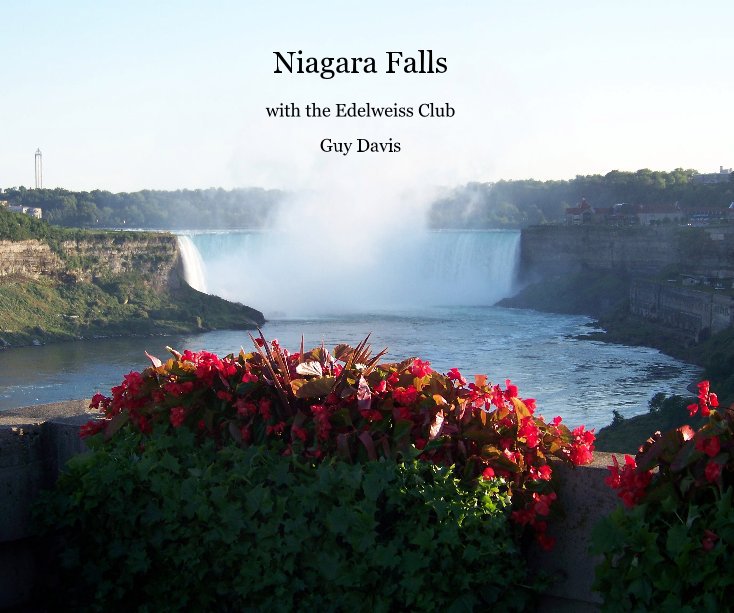 View Niagara Falls by Guy Davis