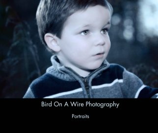 Bird On A Wire Photography book cover