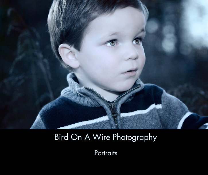 View Bird On A Wire Photography by Portraits