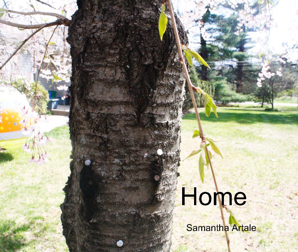 Ver Home por Samantha Artale