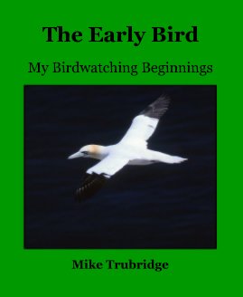 The Early Bird book cover