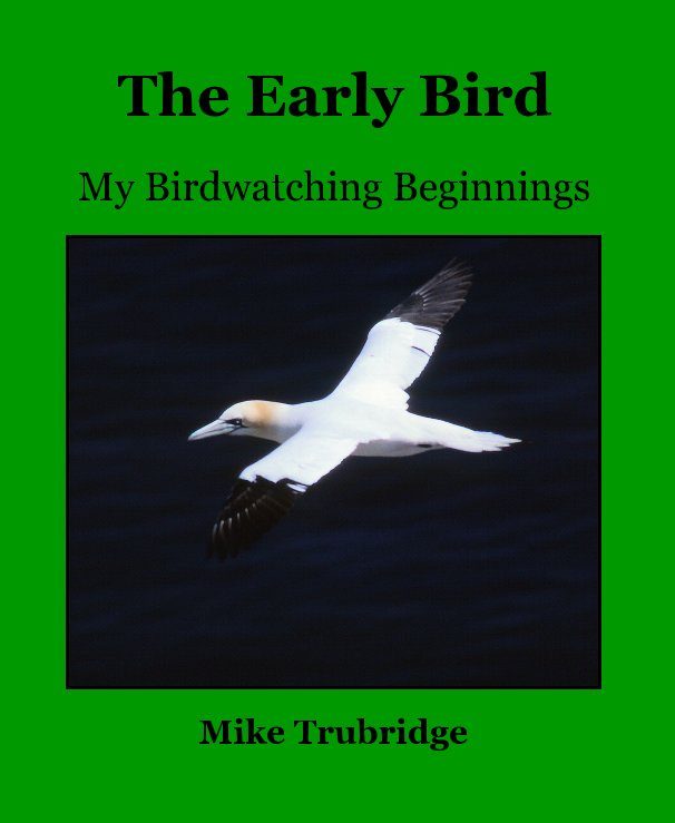 View The Early Bird by Mike Trubridge