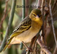 Birds of Africa book cover