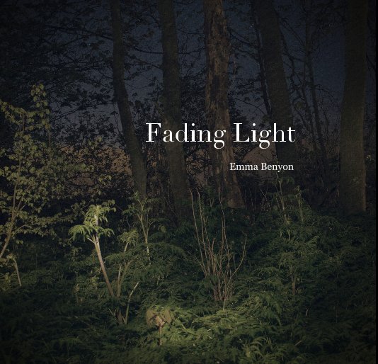 View Fading Light by Emma Benyon