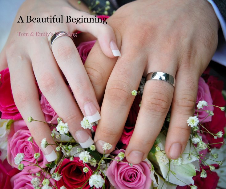 View A Beautiful Beginning by desong