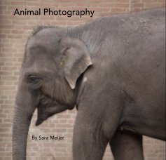 Animal Photography book cover