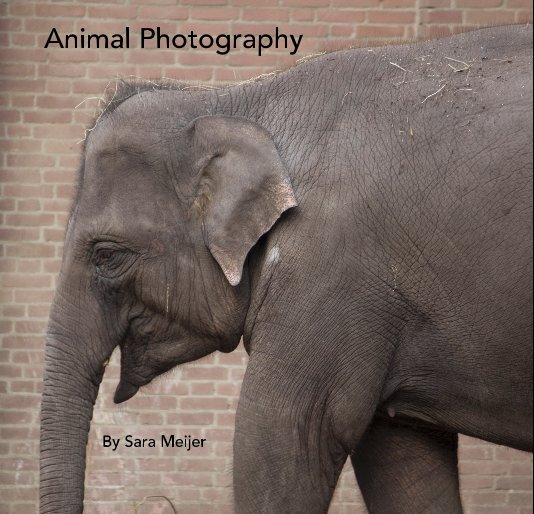 Ver Animal Photography por Sara Meijer
