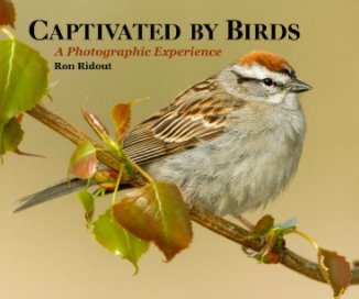 CAPTIVATED BY BIRDS book cover