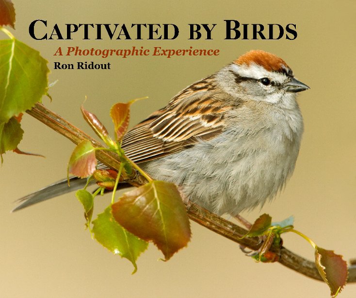 Ver CAPTIVATED BY BIRDS por Ron Ridout