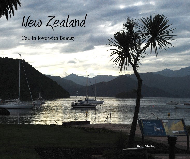 View New Zealand by Brian Shelley