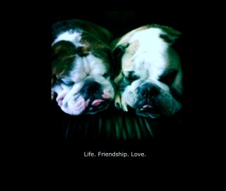 Life. Friendship. Love. book cover