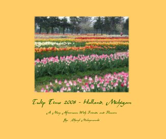 Tulip Time 2008 - Holland, Michigan book cover