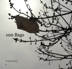 100 Bags book cover