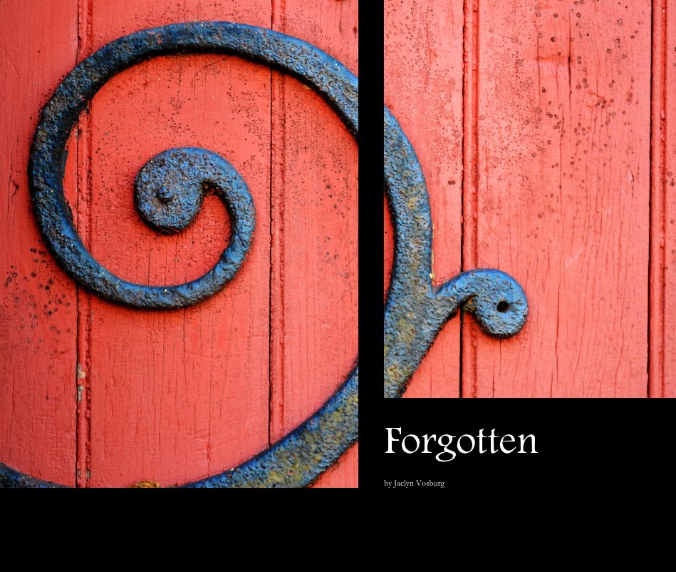 View Forgotten by Jaclyn Vosburg