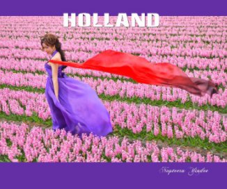 Holland book cover