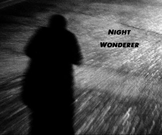 Night Wonderer book cover