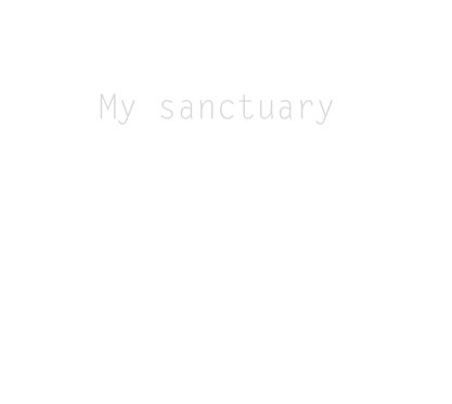 My sanctuary book cover