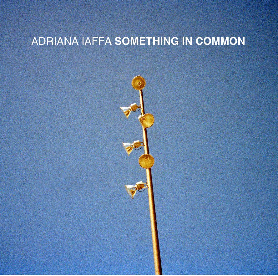 View Something In Common by Adriana Iaffa