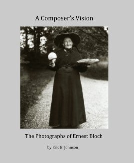 A Composer's Vision book cover
