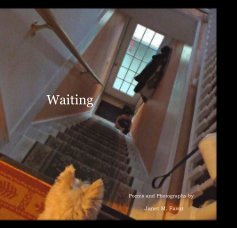 Waiting book cover