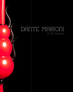 Dante Marioni book cover