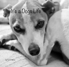 It's a Dogs Life book cover
