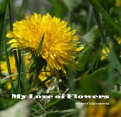 My Love Of Flowers book cover