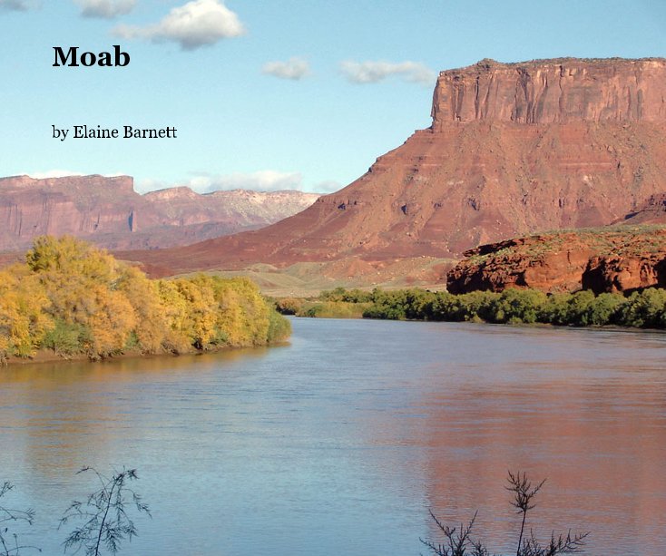 View Moab by Elaine Barnett