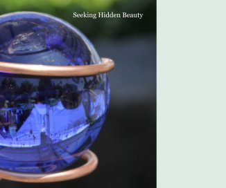 Seeking Hidden Beauty book cover